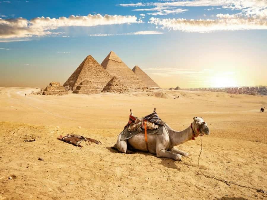 Cairo: Giza Pyramids, Sakkara & Dahshur All-Inclusive Tour - The Great Sphinx and the final Giza views