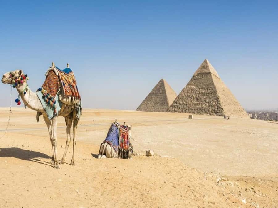 Cairo: Giza Pyramids, Sakkara & Dahshur All-Inclusive Tour - Lunch, transport, and the private-tour advantage