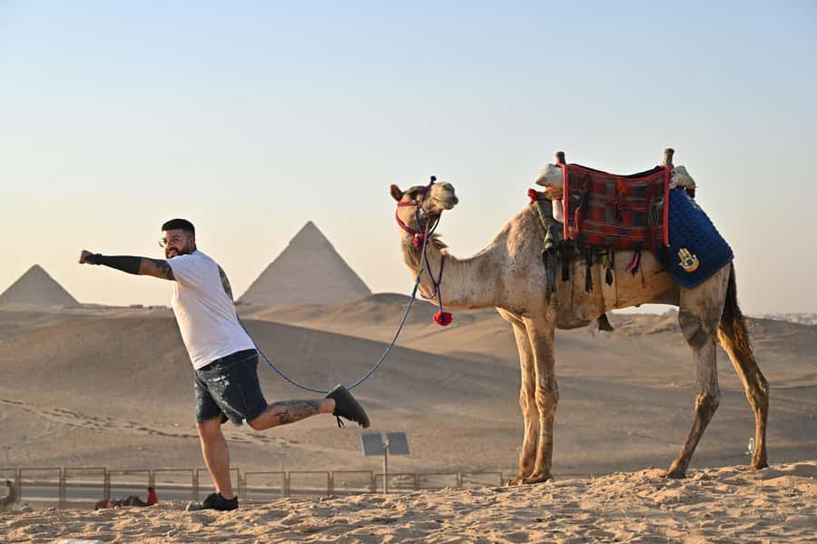 Cairo: Grand Egyptian Museum, Pyramids, Sphinx Tour & Lunch - Who should book this experience?