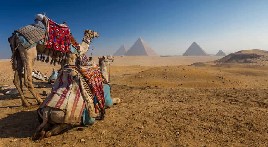 Cairo: Great Pyramids of Giza and Egyptian Museum Tour - Why This Cairo Tour Works Well