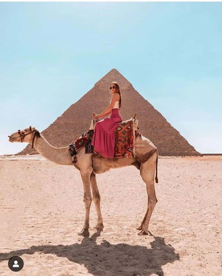 Cairo: Great Pyramids of Giza and Egyptian Museum Tour - The Valley Temple and the Sphinx