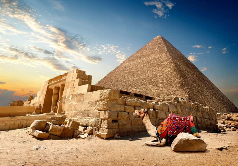 Cairo: Great Pyramids of Giza and Egyptian Museum Tour - The Egyptian Museum Changes the Scale