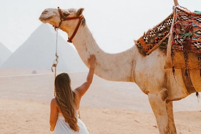 Cairo Layover Giza Pyramids & Sphinx with private tour Guide - From Cairo Airport to the Giza Plateau