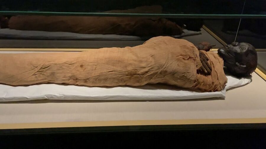 Cairo: National Museum of Egypt Skip-the-Line QR Ticket - The Royal Mummies Hall is the key stop