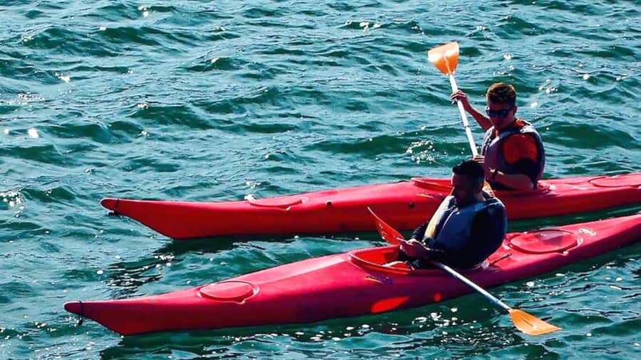 Cairo: Private Nile Kayaking Adventure with hotel transfers. - The view from the water