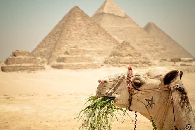 Cairo Private Tours To Giza Pyramids,Egyptian Museum & Bazaar - How the Egyptologist guide changes the day