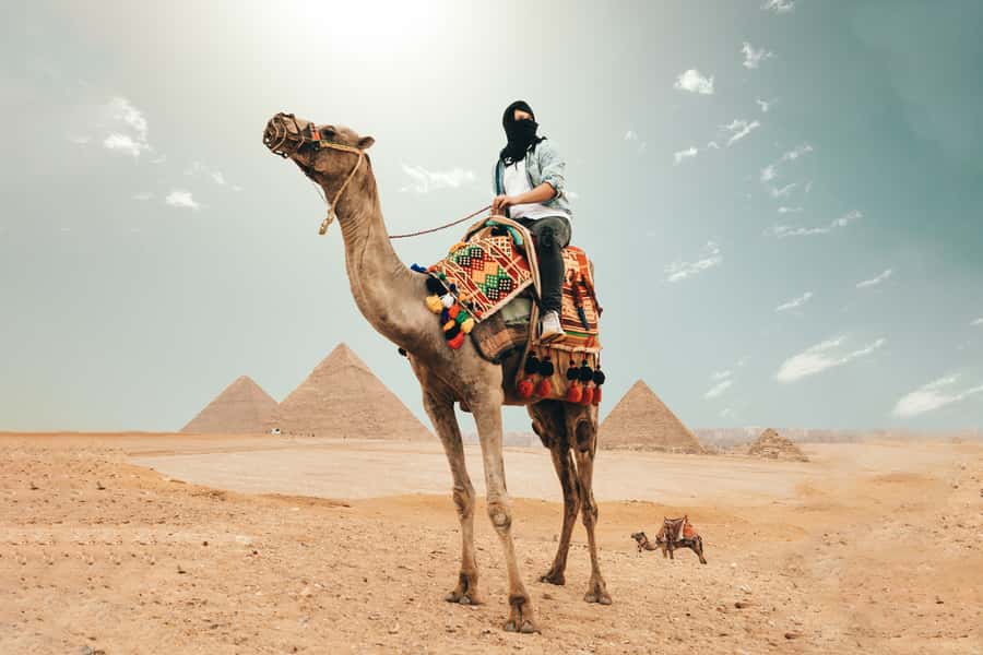 Cairo: Pyramids, Bazaar, Citadel Tour with Photographer - Key points to know before booking