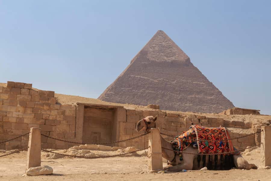 Cairo: Pyramids, Sphinx & Grand Egyptian Museum Private Tour - Lunch before the museum