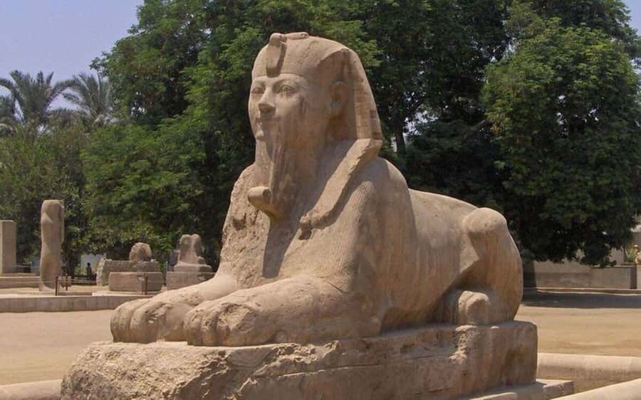 Cairo: Saqqara, Memphis, and Dahshur Day Trip with Lunch - Lunch, transport, and the pace of the day