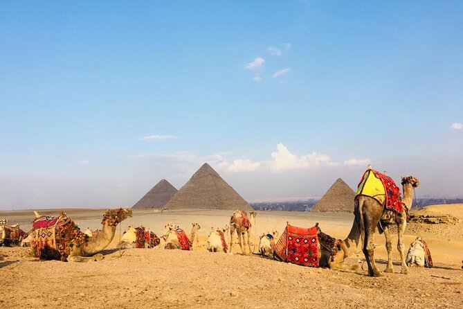 Cairo Sightseeing Tour (Giza Pyramids + Museum + Khan el Khalili Bazaar) - Who should book this experience?