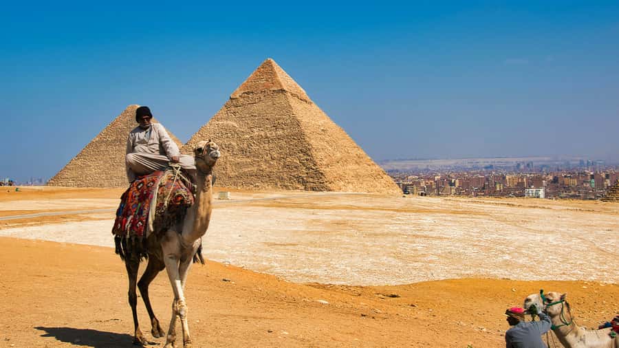 Cairo: Sunrise Camel Ride, Pyramids Tour & Local Breakfast. - Is $101 per person good value?
