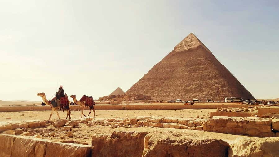 Cairo: Sunrise Camel Ride, Pyramids Tour & Local Breakfast. - Practical details before you book