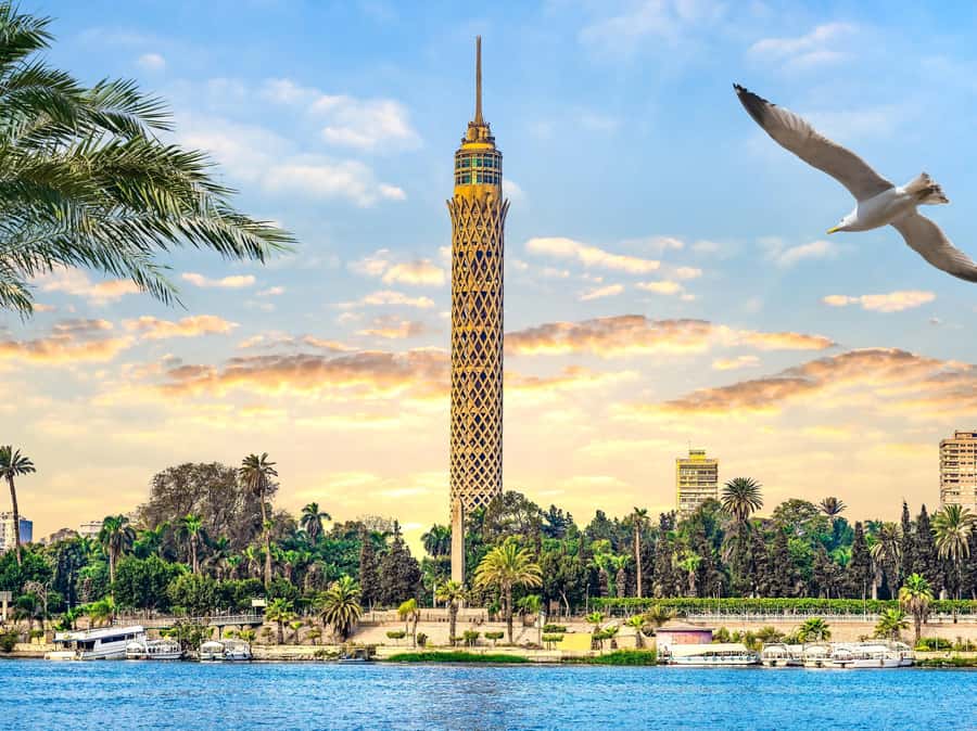 Cairo: Sunset Cairo Tower Tour With Nile River Dinner Cruise - Cairo from above, then Cairo by water