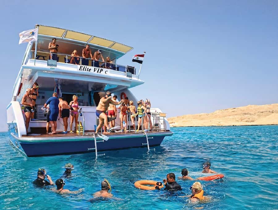 Cairo to Red Sea: VIP Yacht Cruise, Snorkeling & Lunch - The return ride and the Cairo transfer question