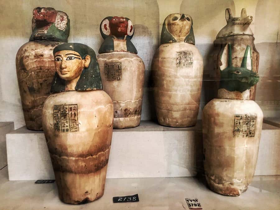 Cairo Tour To Egyptian Museum, Citadel & Khan Khalili Bazaar - Who should book this Cairo day tour