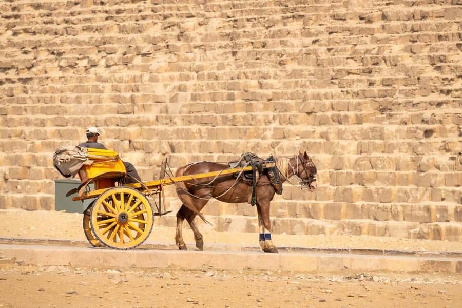 Cairo: Trip Pyramids, Sakkara, & Memphis Tour with Lunch - Lunch, papyrus, and perfume stops
