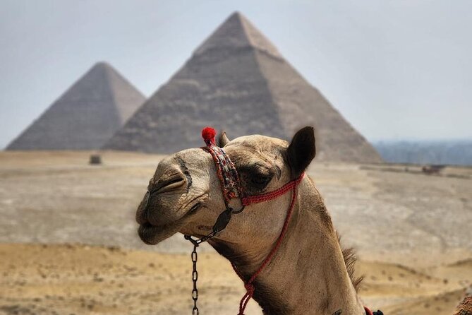 Day Tour to Giza Pyramids, Memphis City And Saqqara Pyramid - One day, three chapters of ancient Egypt