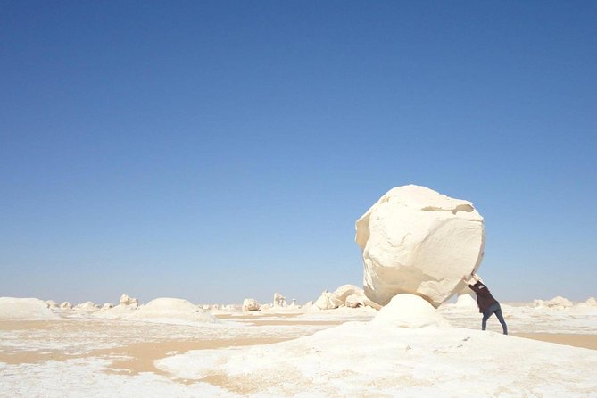 Day Trip To Bahariya Oasis Visit Black And White Desert From Cairo - Communication and reliability matter here