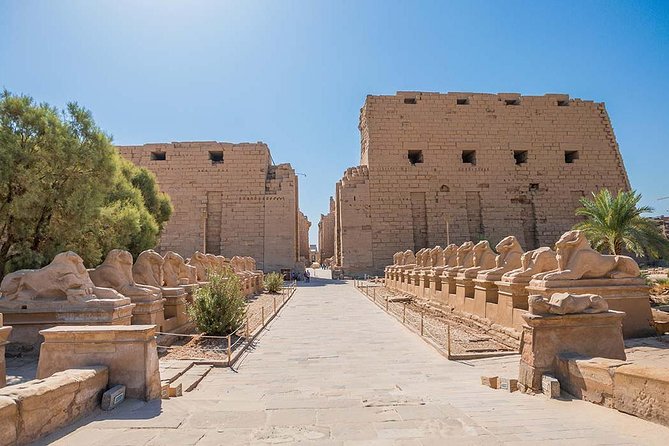 Day Trip to Luxor from Cairo by Air - What the private guide adds