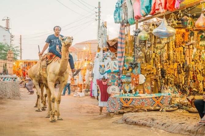 Day Trip to Nubian Village with Camel Tour from Aswan - How much guiding can you expect?