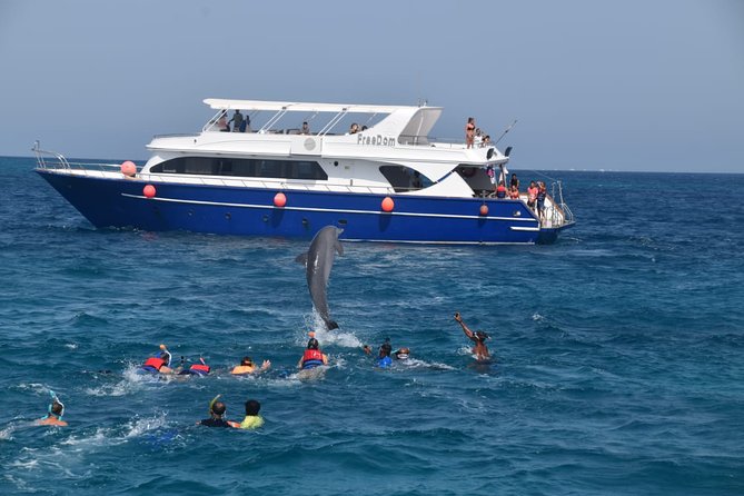 Dolphin House and Banana Boat Fun from Hurghada - Quick take: what makes this boat day worth considering