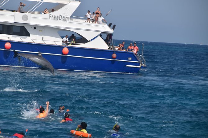 Dolphin House and Banana Boat Fun from Hurghada - Leaving Hurghada for the Red Sea