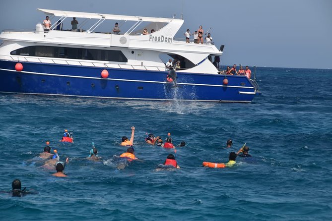 Dolphin House and Banana Boat Fun from Hurghada - Snorkeling coral and reef fish