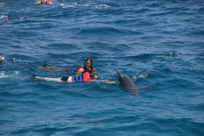 Dolphin House and Banana Boat Fun from Hurghada - Searching for dolphins at Dolphin House