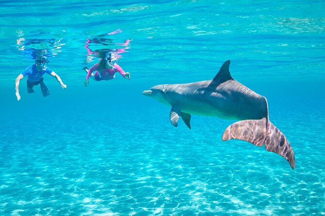 Dolphin House By Private Speed Boat & Drinks & Transfer-Hurghada - Practical questions to settle before departure