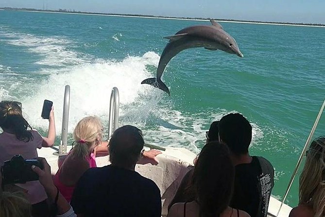 Dolphin House By Private Speed Boat & Drinks & Transfer-Hurghada - Dolphin House and the search for dolphins