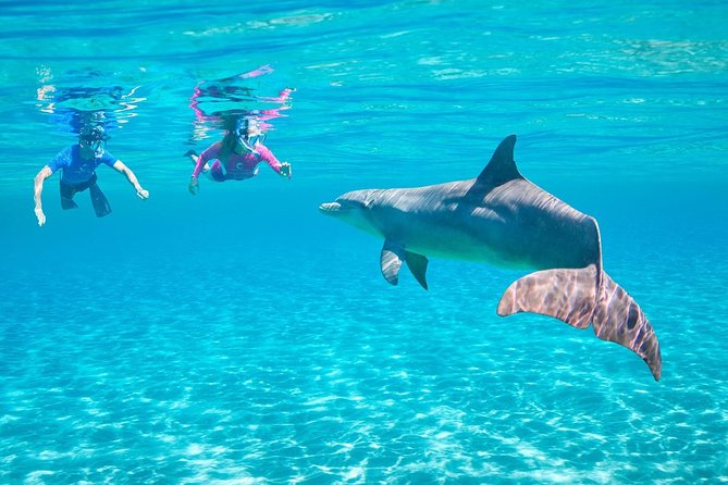 Dolphin House Royal Sea Trip Water Sports W/Transfer - HURGHADA - Crew style, safety, and comfort