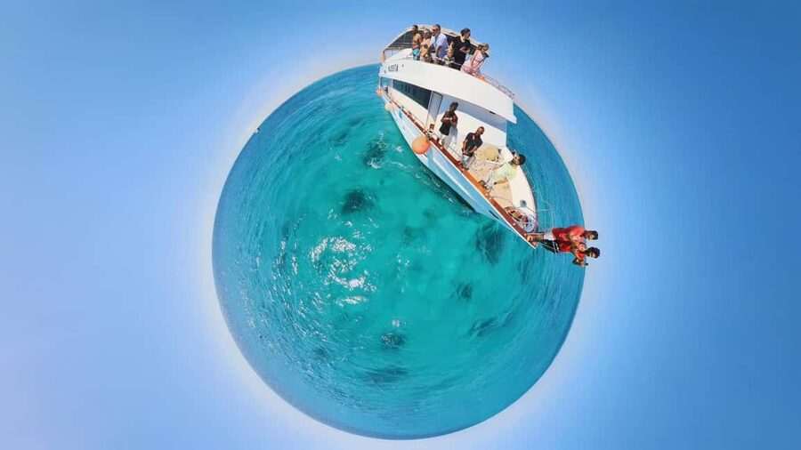 Dolphin Tour with Red Sea Fun. The Best in Hurghada - Setting out from Hurghada at 8:30 am