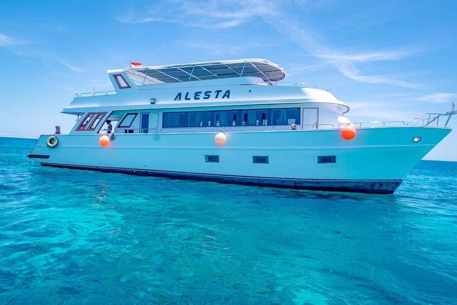 Dolphin Tour with Red Sea Fun. The Best in Hurghada - Looking for dolphins in open Red Sea water