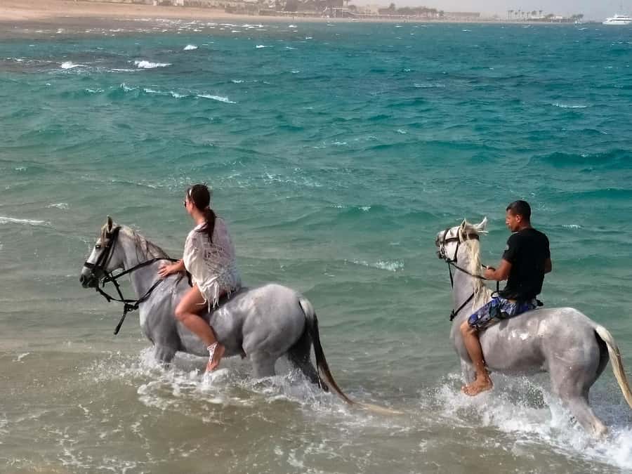 El Gouna: Desert & Sea Horse Riding With Swimming Optional - Location, groups, and the El Gouna question