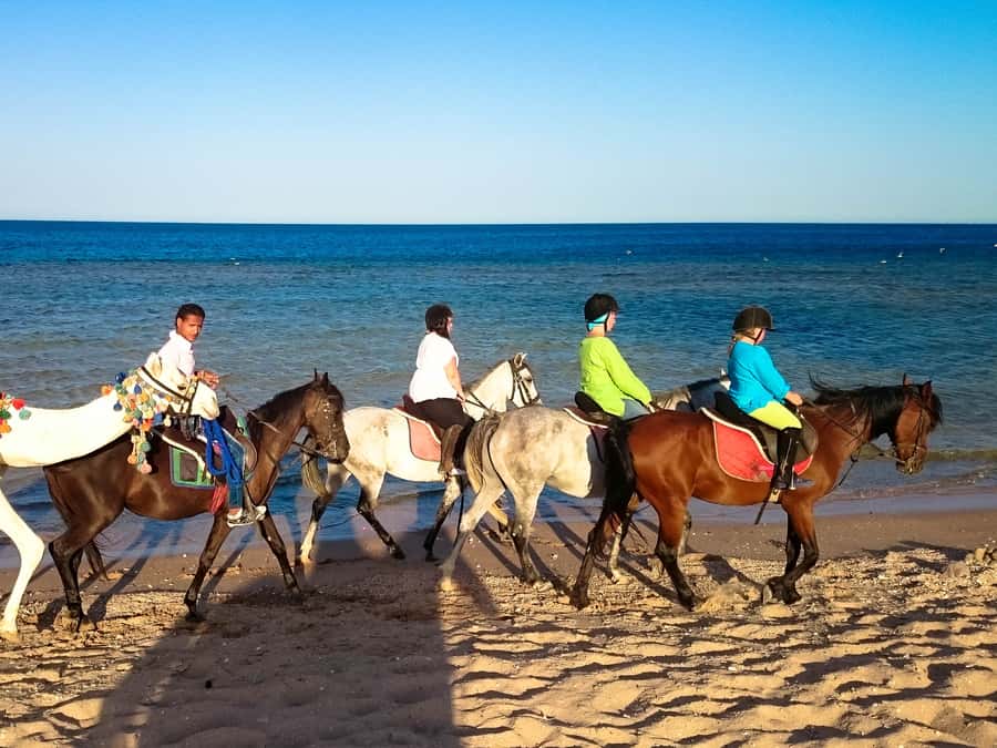 El Gouna: Desert & Sea Horse Riding With Swimming Optional - Sunrise, afternoon, or sunset