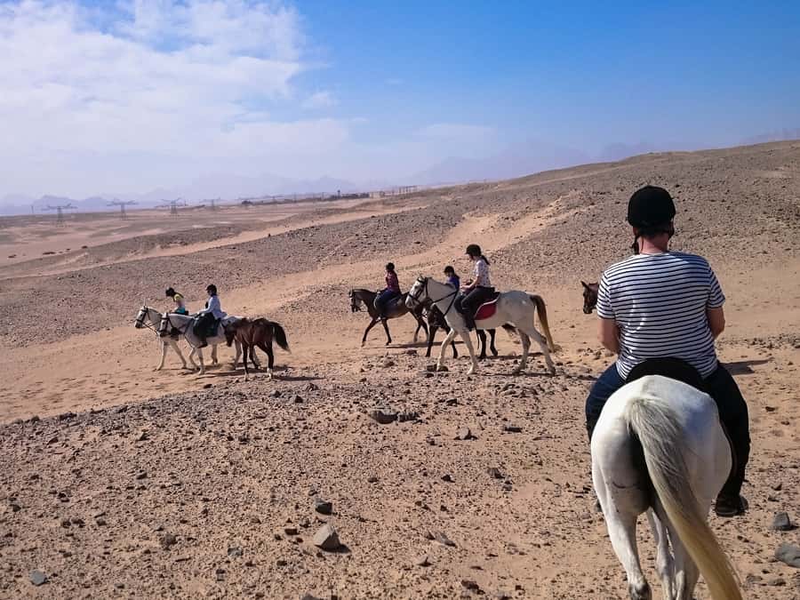 El Gouna: Desert & Sea Horse Riding With Swimming Optional - The quad bike and horse combination