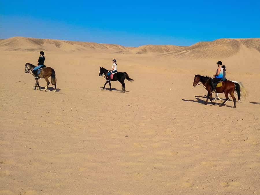El Gouna: Desert & Sea Horse Riding With Swimming Optional - What the $26 price really buys