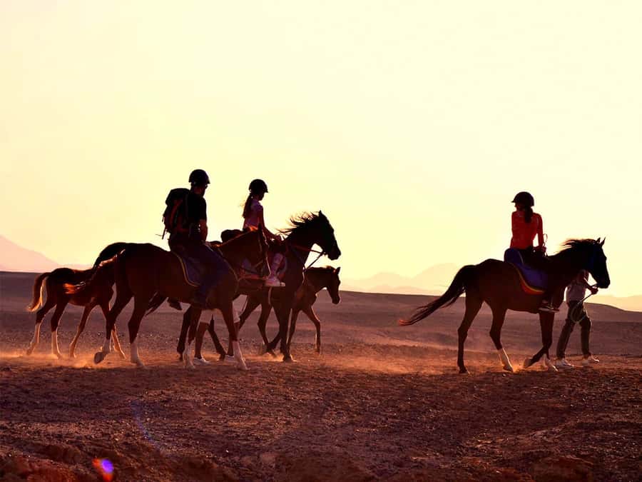El Gouna: Desert & Sea Horse Riding With Swimming Optional - Meeting the horses before the ride