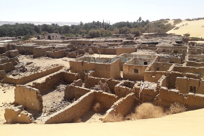 Enjoy safari The black and white desert two night 3 days - The old and new White Desert