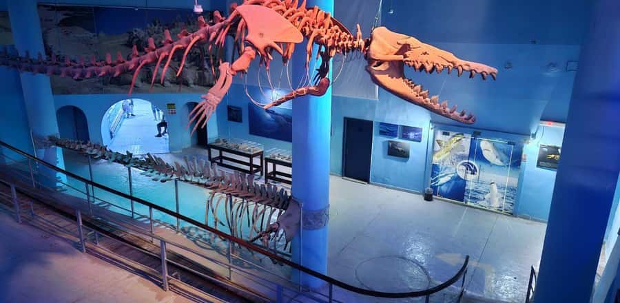Entry Ticket: Grand Aquarium Hurgada - Who will enjoy Hurghada Grand Aquarium most?
