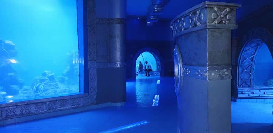 Entry Ticket: Grand Aquarium Hurgada - Sharks and rays in the 24-meter tunnel