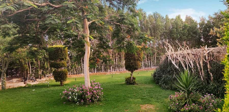Entry Ticket: Grand Aquarium Hurgada - The mini zoo and rescued land animals