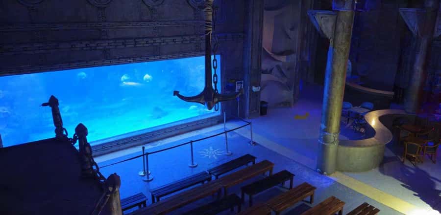 Entry Ticket: Grand Aquarium Hurgada - The 22 themed aquariums and Red Sea life