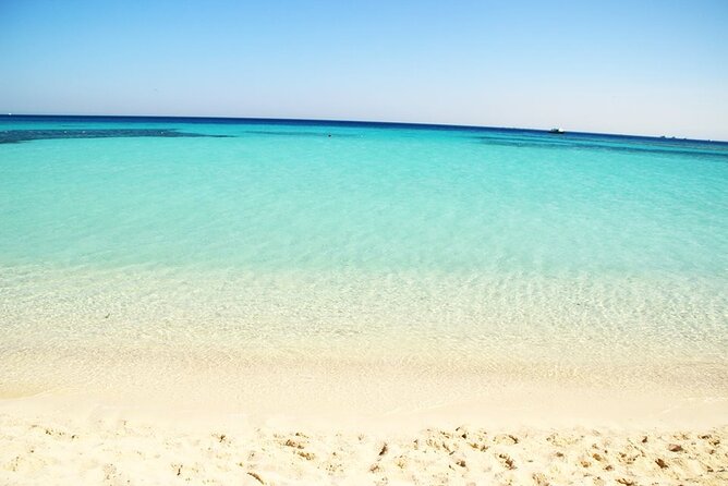 Excursion to the White Island & Ras Mohammed National Park from Sharm El Sheikh - What makes the staff important