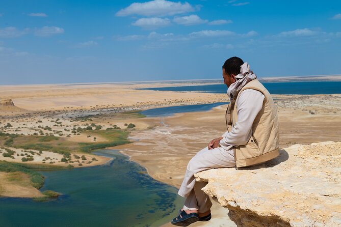 Fayoum Oasis Adventure 4WD Desert Safari with Traditional Lunch - Wadi Al-Hitan is the day’s main reason to go