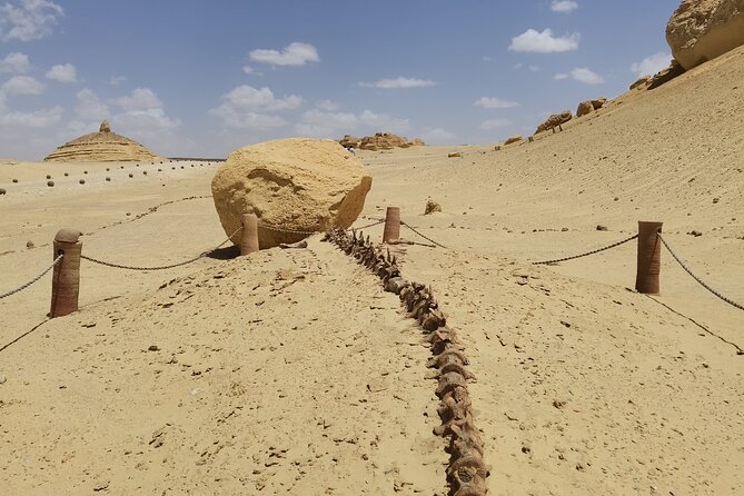 Fayoum Oasis Adventure 4WD Desert Safari with Traditional Lunch - Bedouin tea, lunch, and sandboarding at camp