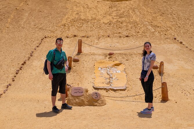 Fayoum Oasis Adventure 4WD Desert Safari with Traditional Lunch - Qarun Lake sets the scene