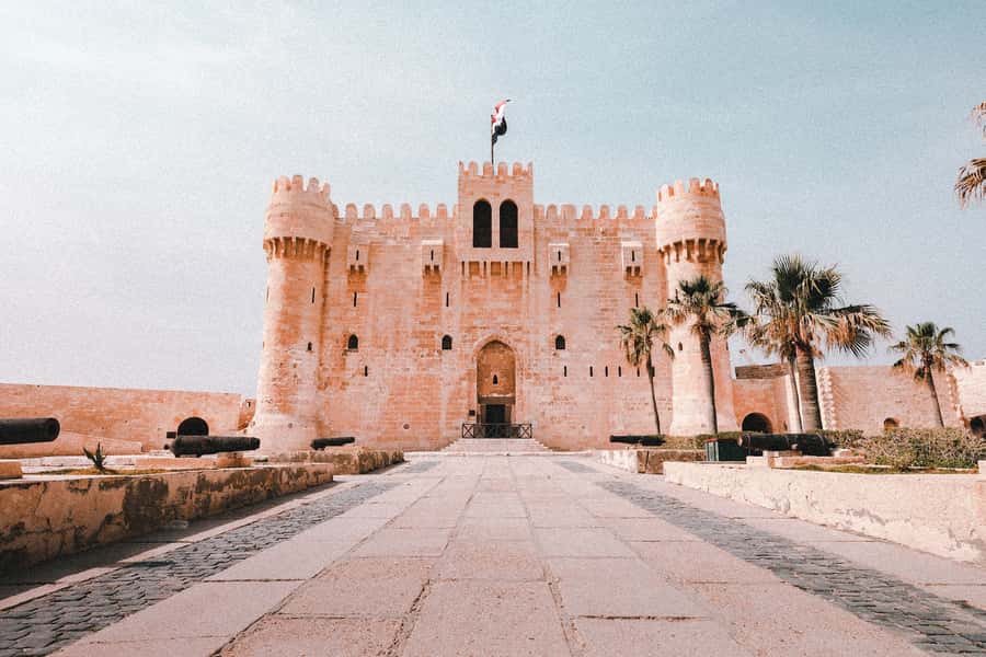 From Alexandria:- Alexandria Top Highlights half-day tour - Guides make the difference on a flexible route