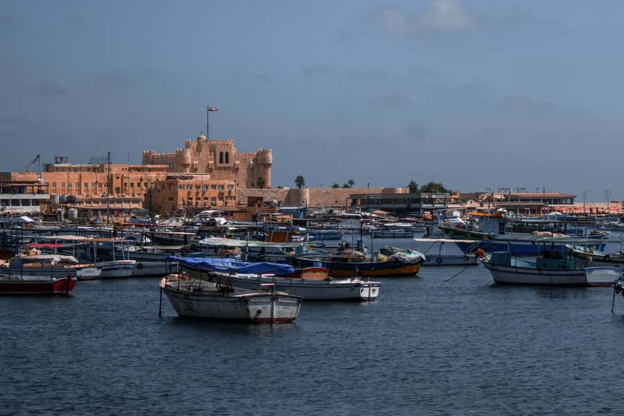 From Alexandria: Highlights of Alexandria Full City Tour - Key points at a glance