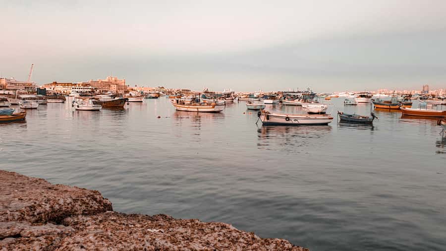 From Alexandria: Highlights of Alexandria Full City Tour - Guides who shape the day